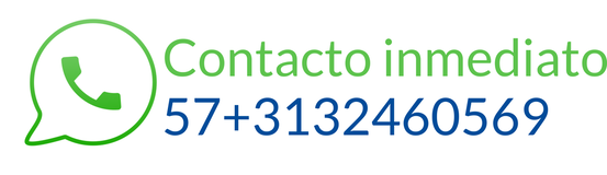 Contacto inmediato por WhatsApp: +57 313 246 0569